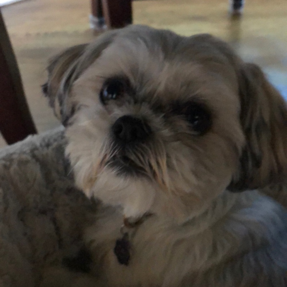 Meet your Posher, Terry